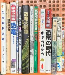 恐竜関係 まとめて14冊セット 恐竜解剖図鑑 恐竜大図鑑 恐竜の時代 恐竜の百科 他