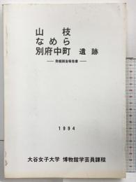 山枝・なめら・別府中町遺跡（兵庫県）発掘調査報告書 1994年 大谷女子大学 博物館学芸員課程
