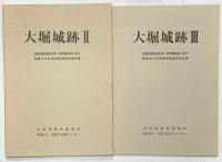 大堀城跡（2・3/全2冊セット）（大阪府）埋蔵文化財発掘調査概要報告書 1985年 大阪府教育委員会 大阪文化財センター