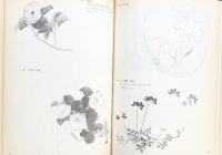 【図録】竹内栖鳳の画手本 解説：下田義寛 他 株式会社グラフィック社 1978年
