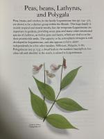 洋書 図録 The Botanical Garden Volumes 1＆2 Macmillan Roger Phillips Martyn Rix