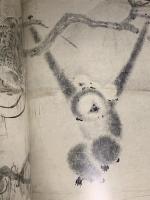 図録 屏風絵名品展 ボストン美術館必藏フェノロサ・コレクション 奈良県立美術館 1991