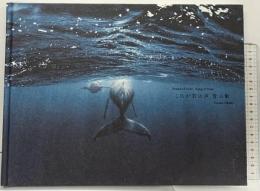 【図録】これが君の声 青の歌 岡田裕介 2022年