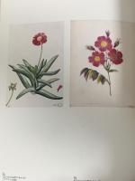 図録 ブザンソン美術館展 1997 北海道新聞社 北海道立帯広美術館 ブザンソン美術館