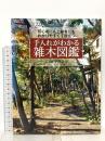 手入れがわかる雑木図鑑 初心者にも上級者にもわかりやすくて役立つ 講談社 平井 孝幸