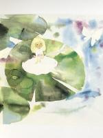 図録 いわさきちひろ典 1997 ちひろ美術館