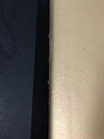 東方神起写真集 The Prince IN PRAGUE 韓国 東方神起 ディスク・ステッカー・ポストカード5枚付き