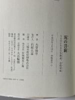 泥の菩薩: NGOに生きた仏教者、有馬実成 大法輪閣 大菅 俊幸