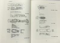 八十塚古墳の研究 関西大学文学部考古学研究室（大阪府吹田市） 2002年