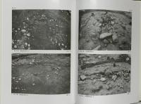 八十塚古墳の研究 関西大学文学部考古学研究室（大阪府吹田市） 2002年