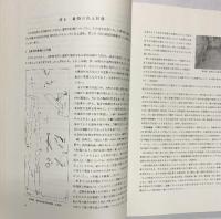壁画古墳『高松塚』調査中間報告 橿原考古学研究所：編著 昭和47年 奈良県教育委員会・奈良県明日香村