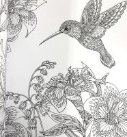 ADULT COLORING BOOK AmazingNature COLORING RELAXATION STRESSRELIEF 大人のぬりえ