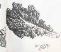 【図録】中林基画文集-生命の彩-桐原書店 昭和62年