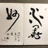 水墨画 関連書籍 まとめて 12冊セット 山水画 墨絵 古書 時代物