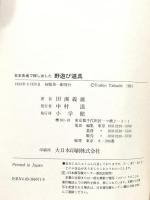 日本各地で探し出した野遊び道具 (BE-PAL BOOKS) 小学館 田渕 義雄