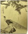 【図録】特別展 円山応挙 写生画創造への挑戦 2003年 毎日新聞社 NHK