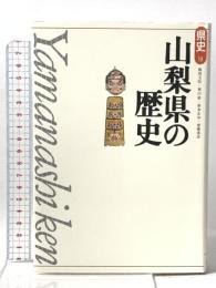 県史 19 山梨県の歴史  山川出版社 飯田 文弥