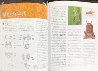 【図録】特別展『昆虫』2018年 読売新聞社 フジテレビジョン