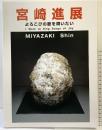 【図録】宮崎進展 よろこびの歌を唄いたい MIYAZAKI Shin 2002年 横浜美術館