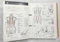 図解カード〈ツボ療法〉指導：芹澤勝助 （カード112枚）健康生活協会
