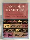 洋書 Animals in Motion (Dover Anatomy for Artists) Dover Publications Eadweard Muybridge