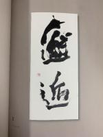 【図録】書の痕跡 〈坂口流石書展〉平成20年 松流会 加古川市 毎日新聞社