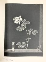 【図録】銅版画の巨匠 長谷川潔展 京都国立近代美術館1980年