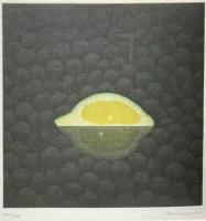 図録 20世紀版画の巨匠 浜口陽三展 2002年 国立国際美術館 日本経済新聞社