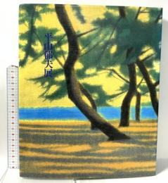 図録 平山郁夫展 日本の道・日本文化の源流を描く 1995 香川県文化会館