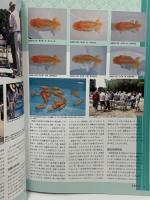 金魚伝承 第3号 ピーシーズ  維持と保存、改良と斬新 追求することの面白さ