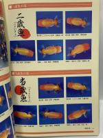 金魚伝承 創刊第二号 2001年全国品評大会総覧 ピーシーズ 2002年8月10日発行