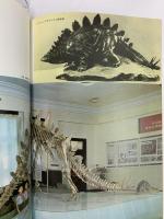 図録 中国の恐竜展 魚類から猿人までの4億年 1981 朝日新聞社