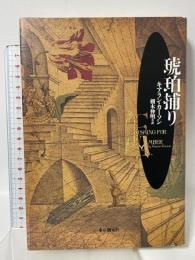 琥珀捕り (海外文学セレクション) 東京創元社 キアラン カーソン 栩木伸明訳