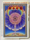 神々の糧(ドラッグ): 太古の知恵の木を求めて 第三書館 テレンス マッケナ