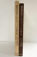 群馬県武井における二つの石器文化 明治大学文学部研究報告 考古学 第7冊 臨川書店 杉原荘介 1984年