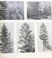 【図録】東山魁夷 唐招提寺障壁画展 昭和50年 日本経済新聞社