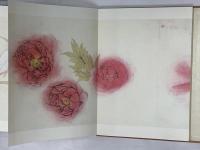 現代日本絵巻全集 (11) 小学館 埃及風俗図巻 写生画巻 虫魚画巻  速水御舟 小茂田青樹