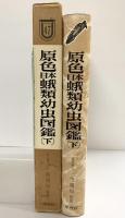 原色日本蛾類幼虫図鑑 下 (保育社の原色図鑑 47) 保育社 六浦 晃