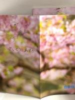 9 月刊エンタメ ENTAME 平成29年5月1日 No.5 アイドルカルチャーNo.1マガジン 齋藤飛鳥 須藤梨々花 乃木坂46 徳間書店