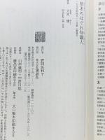 明末のはぐれ知識人―馮夢龍と蘇州文化 (講談社選書メチエ) 講談社 大木 康