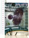 ブラインドサイト〈上〉 (創元SF文庫) 東京創元社 ピーター ワッツ