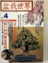盆栽世界 2000年4月1日 文人木対決 第74回国風盆栽展 須藤雨伯 小林國雄 ジャンボ尾崎 発行：新企画出版局