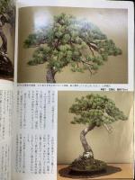 盆栽世界 2000年4月1日 文人木対決 第74回国風盆栽展 須藤雨伯 小林國雄 ジャンボ尾崎 発行：新企画出版局