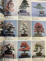 さつき研究 2004年 1月 NO.407 さつきの育て方、花の咲かせ方、盆栽づくりまで納得の入門誌 栃の葉書房