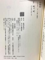 永楽帝: 中華世界システムへの夢 (講談社選書メチエ 119) 講談社 檀上 寛