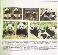 特別企画 蜀の風情 中国・四川