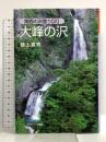 大峰の沢 (関西の沢登り 2) ナカニシヤ出版 樋上 嘉秀