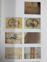 【図録】キトラ古墳と発掘された壁画たち 独立行政法人文化財研究所 飛鳥資料館 図録第45冊 平成18年