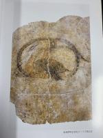 【図録】キトラ古墳壁画四神（玄武）独立行政法人奈良文化財研究所 飛鳥資料館 図録第46冊 平成19年