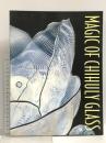 図録 アメリカ現代グラスアートの巨匠 デイル・チフーリ展 1997年 読売新聞社